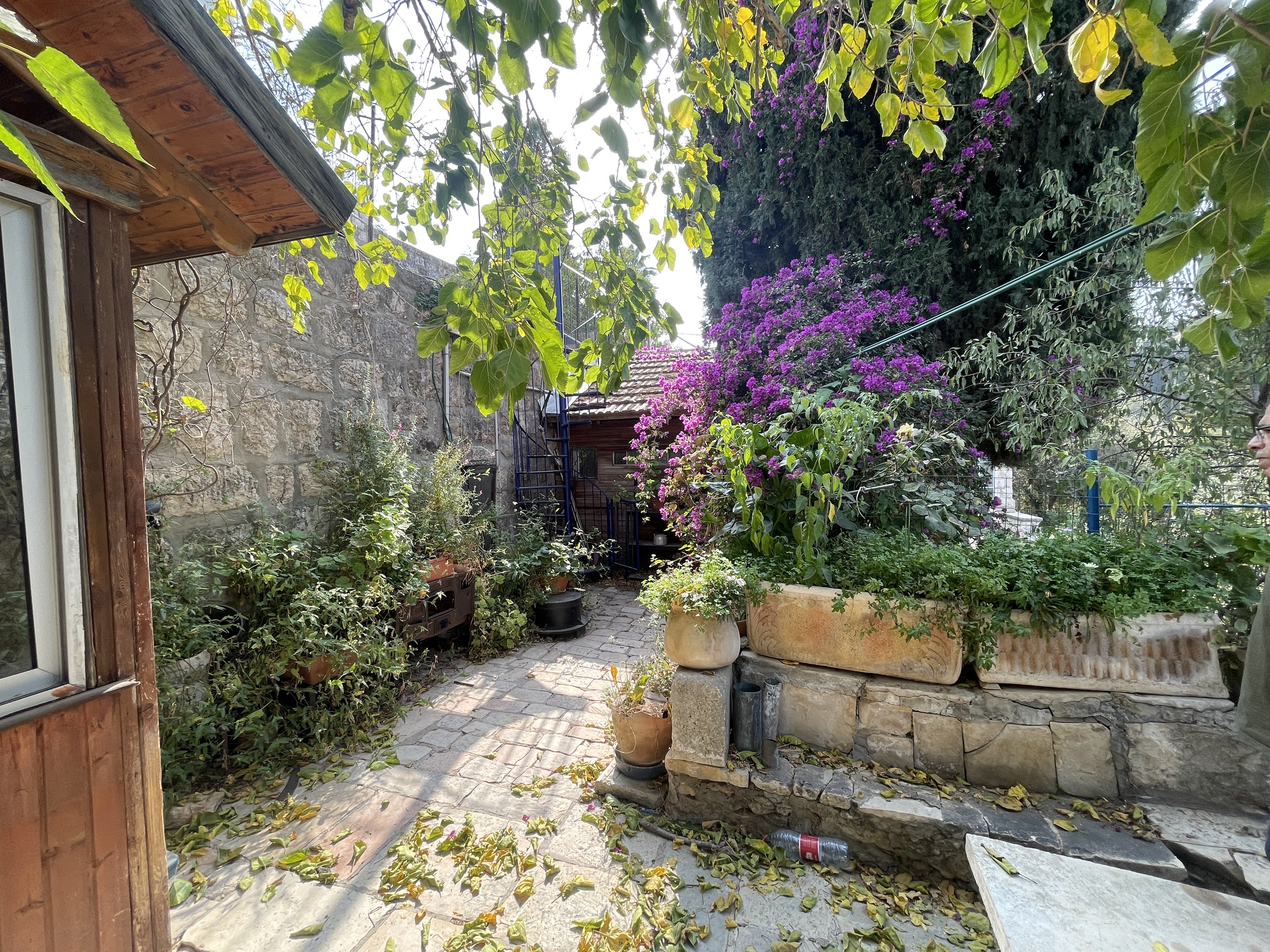 Magical Historic Estate in Ein Kerem — photograph 3