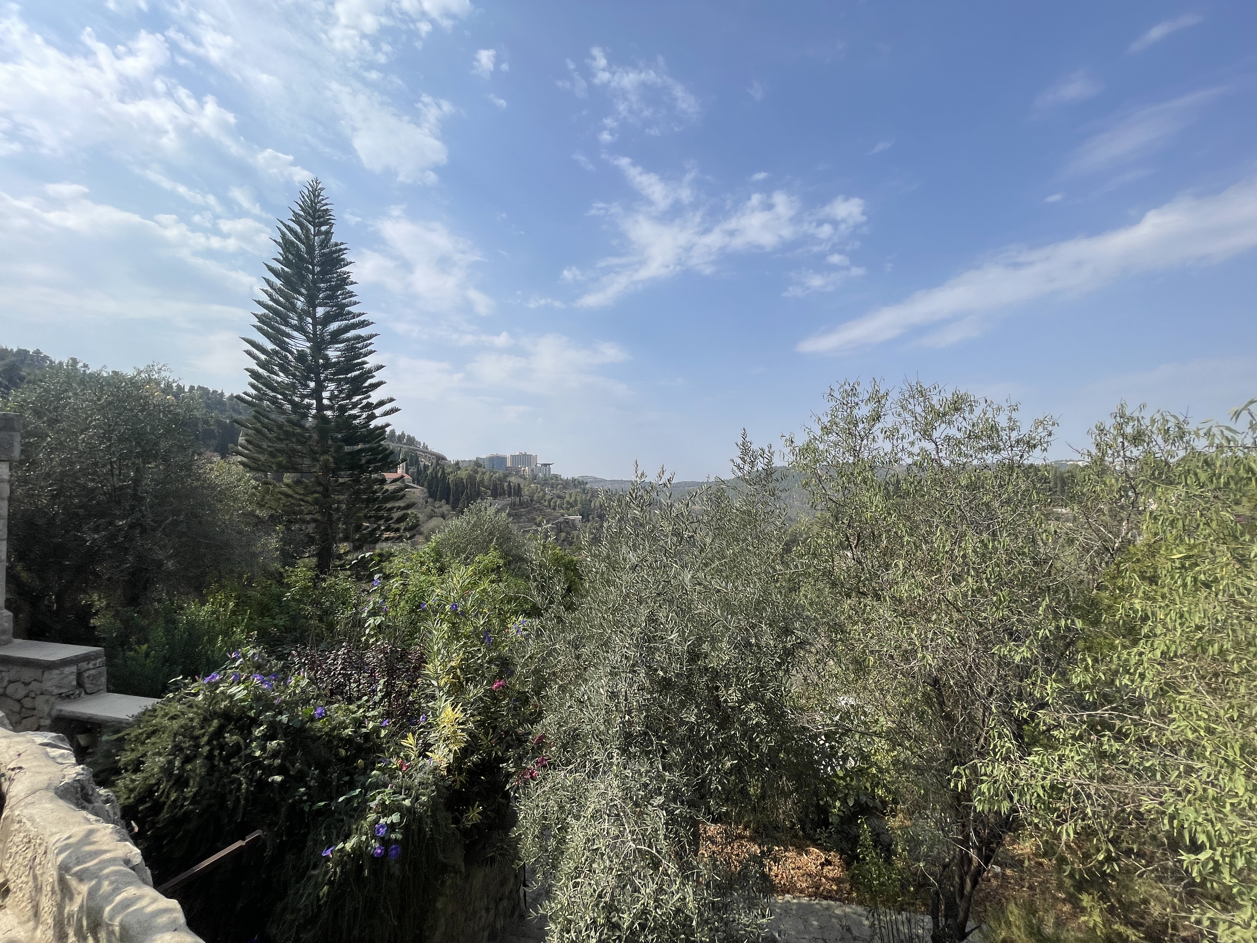 Magical Historic Estate in Ein Kerem — photograph 5
